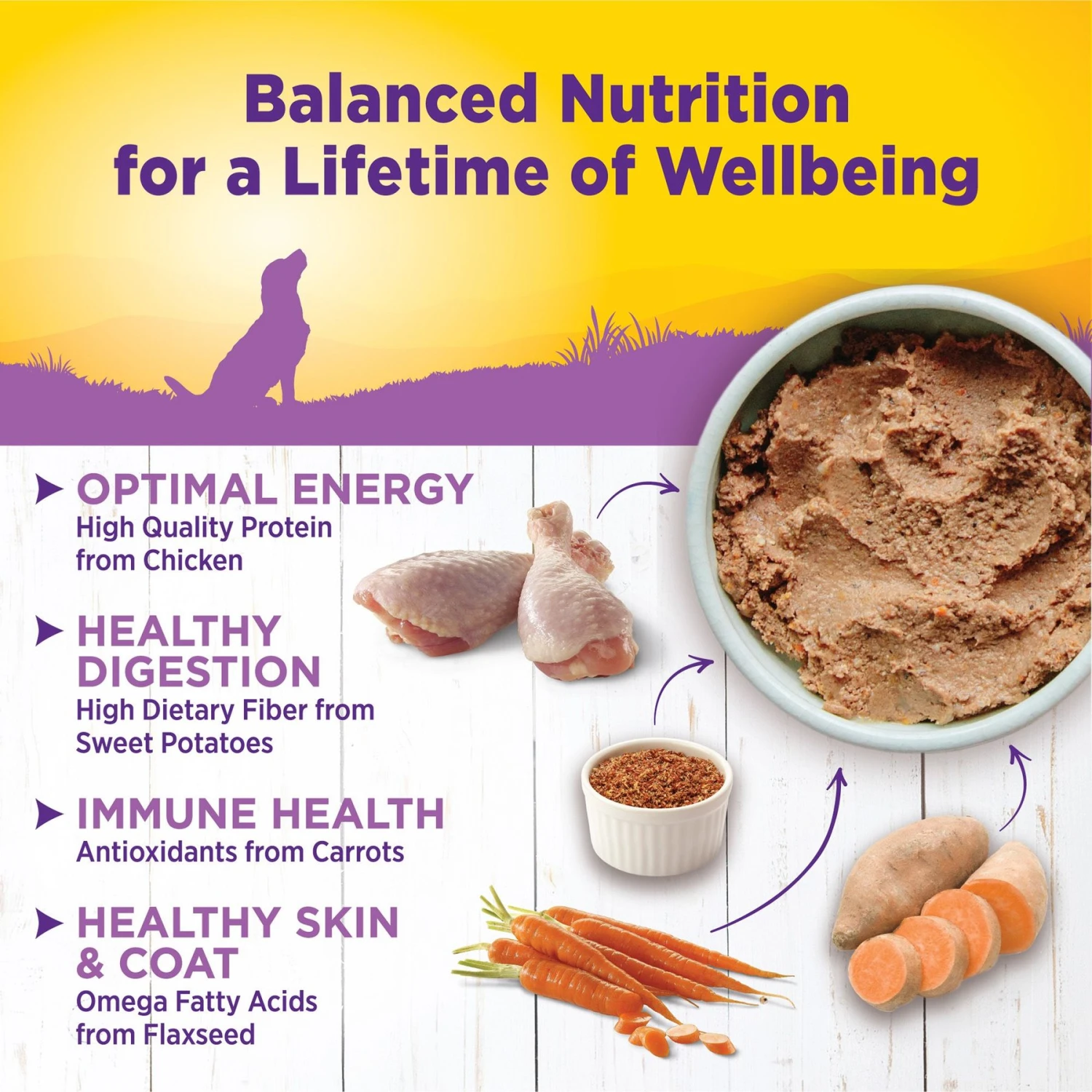 Wellness Complete Health Senior Formula Natural Canned Dog Food 4 Wellness Complete Health Senior Formula Natural Canned Dog Food - Image 4