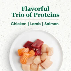 Nutro Ultra Adult Weight Management Chicken, Lamb & Salmon Recipe Dry Dog Food -Pawsphoria Sales Store 49626 PT4. AC SS1800 V1702678489