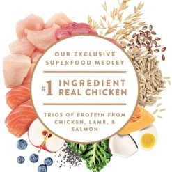 Nutro Ultra Large Breed Puppy High Protein Dry Dog Food -Pawsphoria Sales Store 49634 PT2. AC SS1800 V1702678487