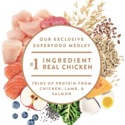 Nutro Ultra Small Breed High Protein Adult Dry Dog Food -Pawsphoria Sales Store 49641 PT3. AC SS1800 V1702678849