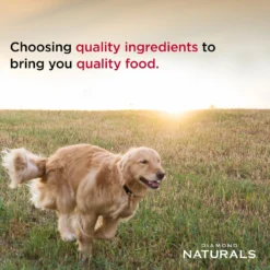 Diamond Naturals Small & Medium Breed Puppy Formula Dry Dog Food -Pawsphoria Sales Store 49737 PT4. AC SS1800 V1635741437