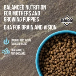 Diamond Puppy Formula Dry Dog Food -Pawsphoria Sales Store 49778 PT2. AC SS1800 V1635739280
