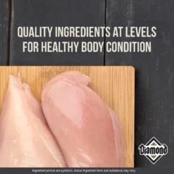 Diamond Performance Formula Adult Dry Dog Food 9 Diamond Performance Formula Adult Dry Dog Food -Pawsphoria Sales Store 49784 PT3. AC SS1800 V1641252103