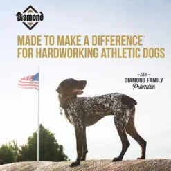 Diamond Performance Formula Adult Dry Dog Food 10 Diamond Performance Formula Adult Dry Dog Food -Pawsphoria Sales Store 49784 PT4. AC SS1800 V1641254506