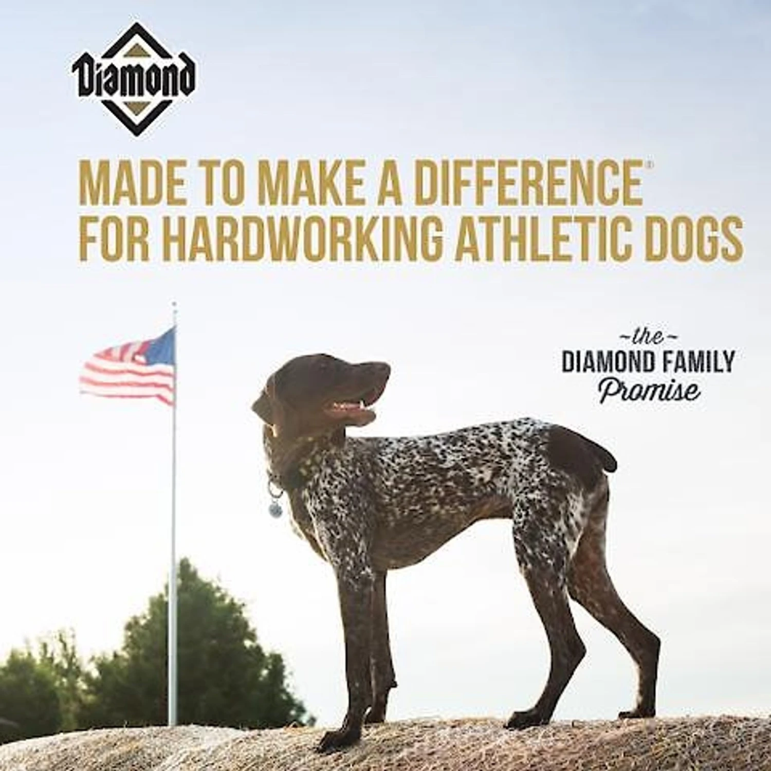 Diamond Performance Formula Adult Dry Dog Food 5 Diamond Performance Formula Adult Dry Dog Food - Image 5
