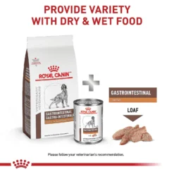 Royal Canin Veterinary Diet Adult Gastrointestinal Low Fat Dry Dog Food -Pawsphoria Sales Store 49952 PT5. AC SS1800 V1691702116