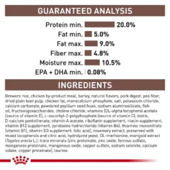 Royal Canin Veterinary Diet Adult Gastrointestinal Low Fat Dry Dog Food -Pawsphoria Sales Store 49952 PT6. AC SS1800 V1691438121