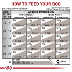 Royal Canin Veterinary Diet Adult Gastrointestinal Low Fat Dry Dog Food -Pawsphoria Sales Store 49952 PT7. AC SS1800 V1691702116
