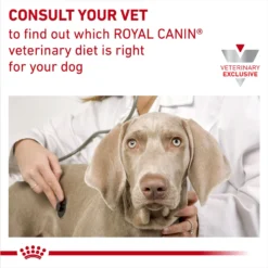 Royal Canin Veterinary Diet Adult Selected Protein PR Dry Dog Food 17 Royal Canin Veterinary Diet Adult Selected Protein PR Dry Dog Food -Pawsphoria Sales Store 49961 PT8. AC SS1800 V1692368300