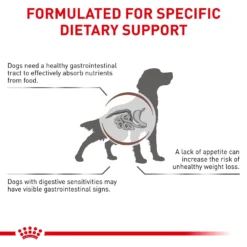 Royal Canin Veterinary Diet Adult Gastrointestinal Dry Dog Food -Pawsphoria Sales Store 50192 PT4. AC SS1800 V1691702115