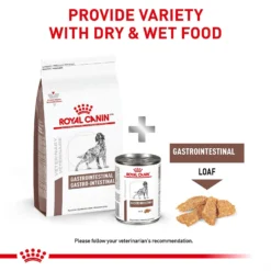 Royal Canin Veterinary Diet Adult Gastrointestinal Dry Dog Food -Pawsphoria Sales Store 50192 PT5. AC SS1800 V1691702115