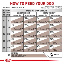 Royal Canin Veterinary Diet Adult Gastrointestinal Dry Dog Food -Pawsphoria Sales Store 50192 PT7. AC SS1800 V1691506584