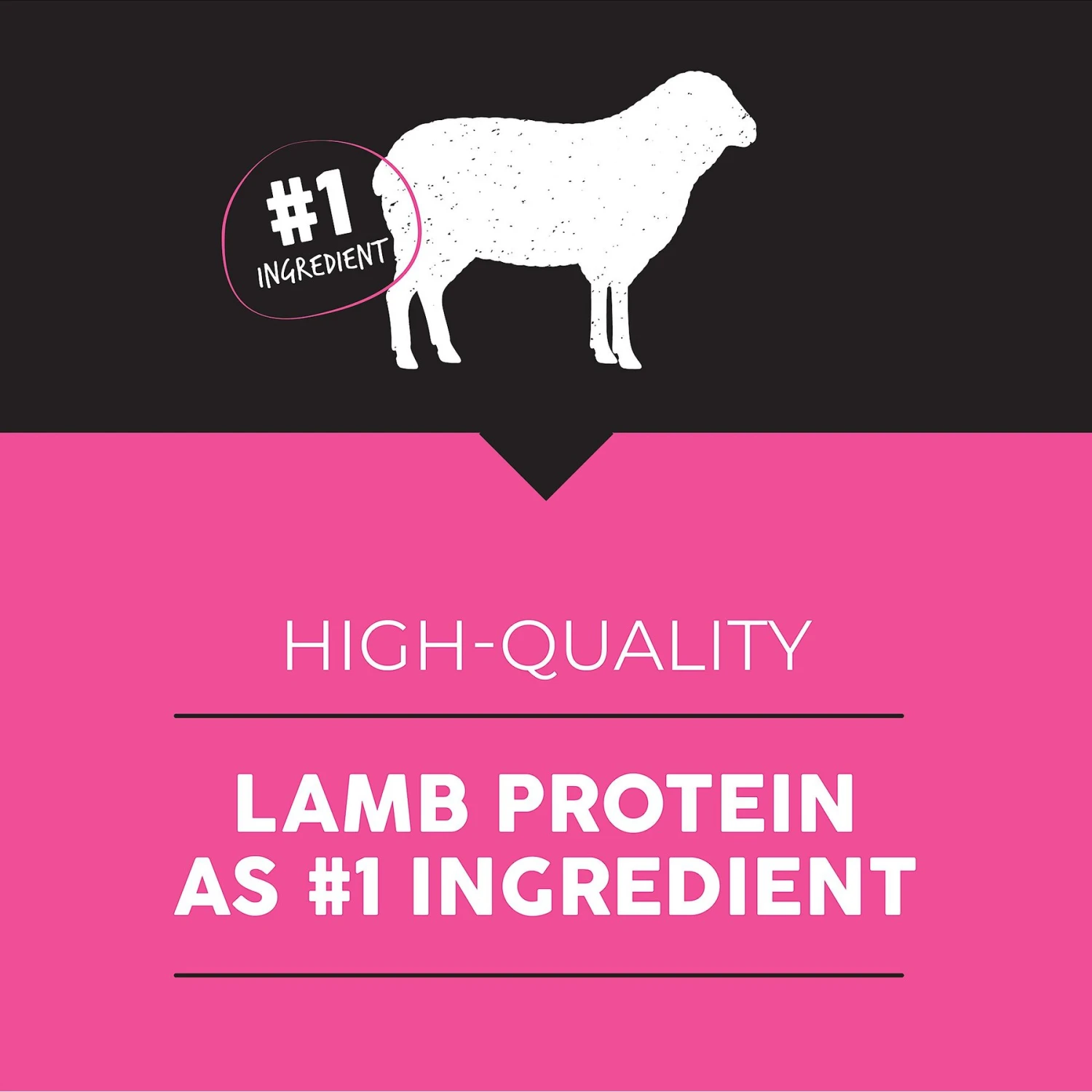 Ultimates Meadow Prime Grain-Free Lamb & Potato Dry Dog Food 3 Ultimates Meadow Prime Grain-Free Lamb & Potato Dry Dog Food - Image 3