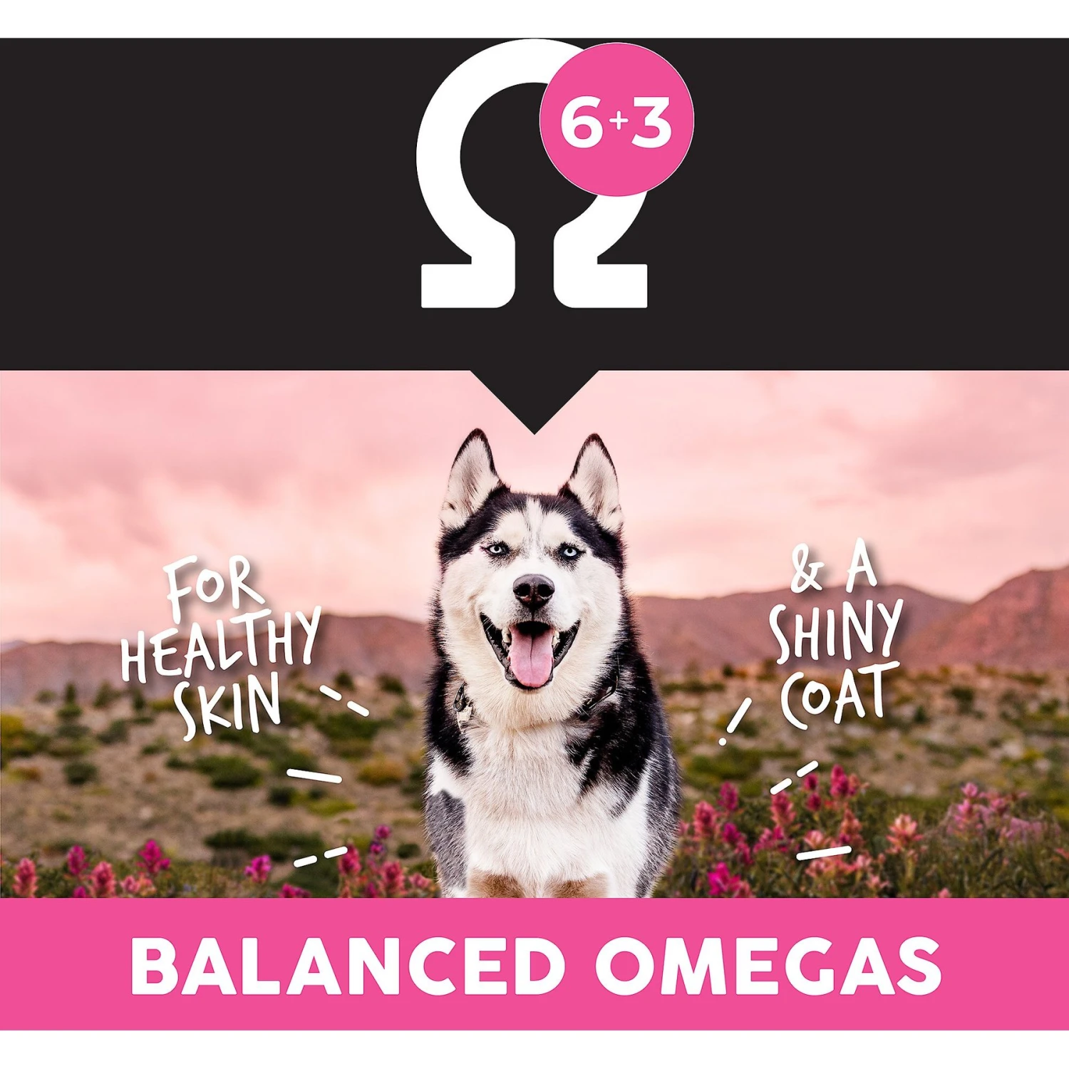 Ultimates Meadow Prime Grain-Free Lamb & Potato Dry Dog Food 6 Ultimates Meadow Prime Grain-Free Lamb & Potato Dry Dog Food - Image 6