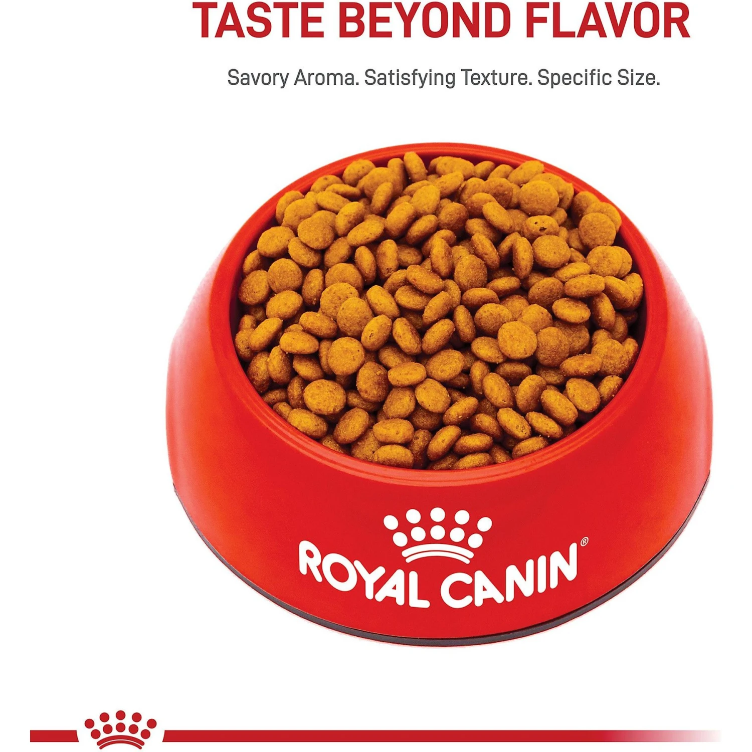 Royal Canin Size Health Nutrition X-Small Adult Dry Dog Food 2 Royal Canin Size Health Nutrition X-Small Adult Dry Dog Food - Image 2
