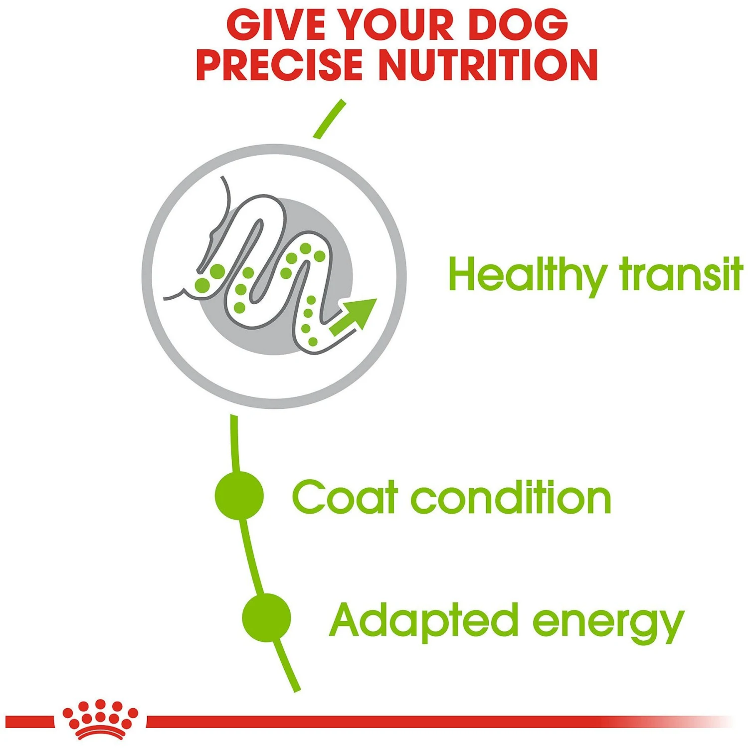 Royal Canin Size Health Nutrition X-Small Adult Dry Dog Food 5 Royal Canin Size Health Nutrition X-Small Adult Dry Dog Food - Image 5