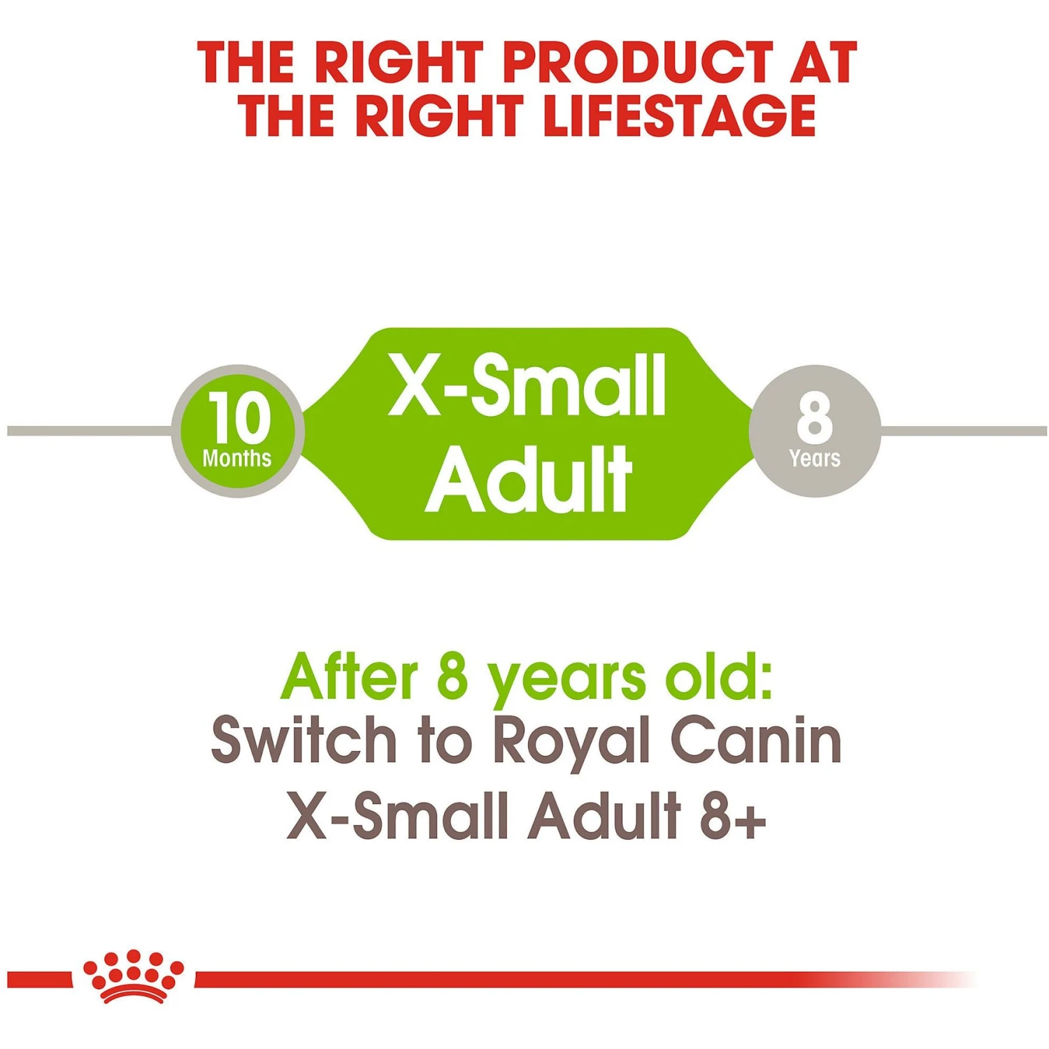 Royal Canin Size Health Nutrition X-Small Adult Dry Dog Food 7 Royal Canin Size Health Nutrition X-Small Adult Dry Dog Food - Image 7