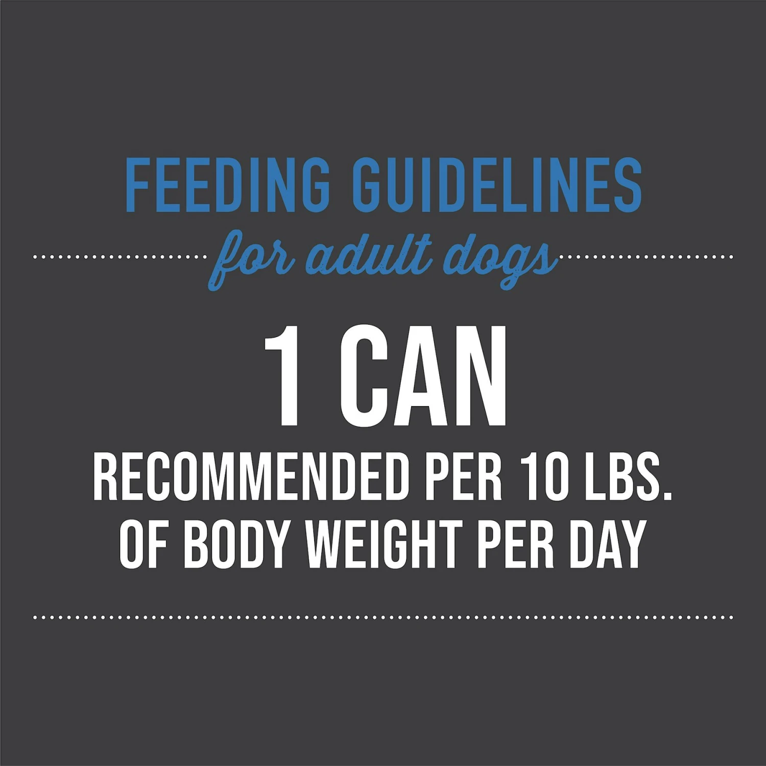 Tiki Dog Taste Of The World Thailand Grain-Free Chicken Curry Chunks In Gravy Canned Dog Food, 12-oz, Case Of 8 6 Tiki Dog Taste Of The World Thailand Grain-Free Chicken Curry Chunks In Gravy Canned Dog Food, 12-oz, Case Of 8 - Image 6