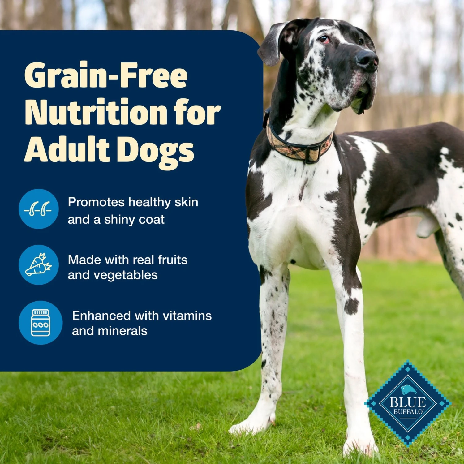 Blue Buffalo Freedom Adult Chicken Recipe Grain-Free Dry Dog Food 2 Blue Buffalo Freedom Adult Chicken Recipe Grain-Free Dry Dog Food - Image 2