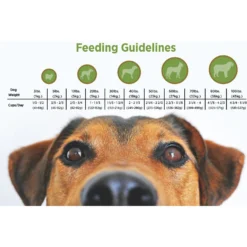 Blackwood 1000 Chicken Meal & Oats Recipe Everyday Diet Adult Dry Dog Food -Pawsphoria Sales Store 50914 PT4. AC SS1800 V1550528270