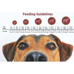 Blackwood 2000 Chicken Meal & Brown Rice Recipe Active Diet Dry Dog Food -Pawsphoria Sales Store 50916 PT4. AC SS1800 V1550528270