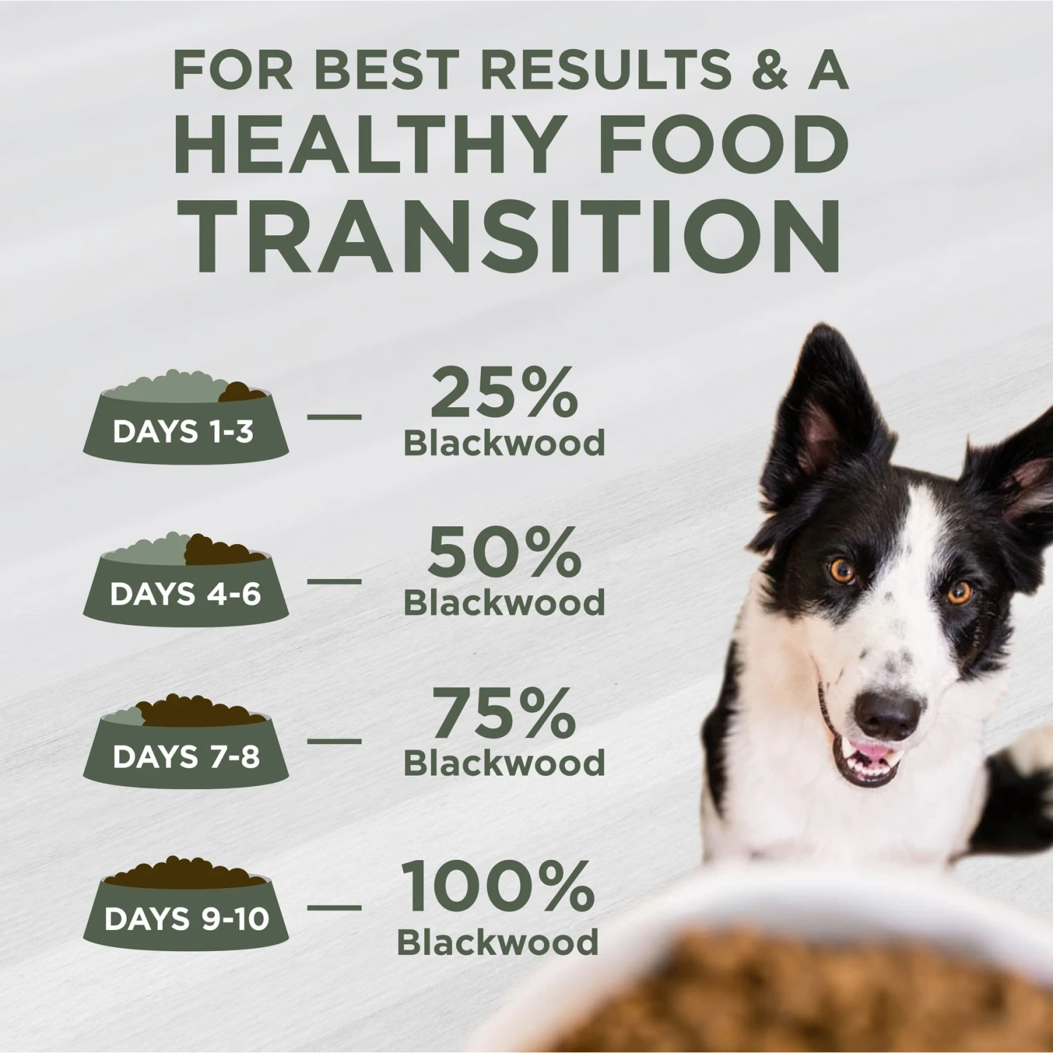 Blackwood 5000 Catfish Meal & Pearled Barley Sensitive Skin & Stomach Formula Dry Dog Food 5 Blackwood 5000 Catfish Meal & Pearled Barley Sensitive Skin & Stomach Formula Dry Dog Food - Image 5