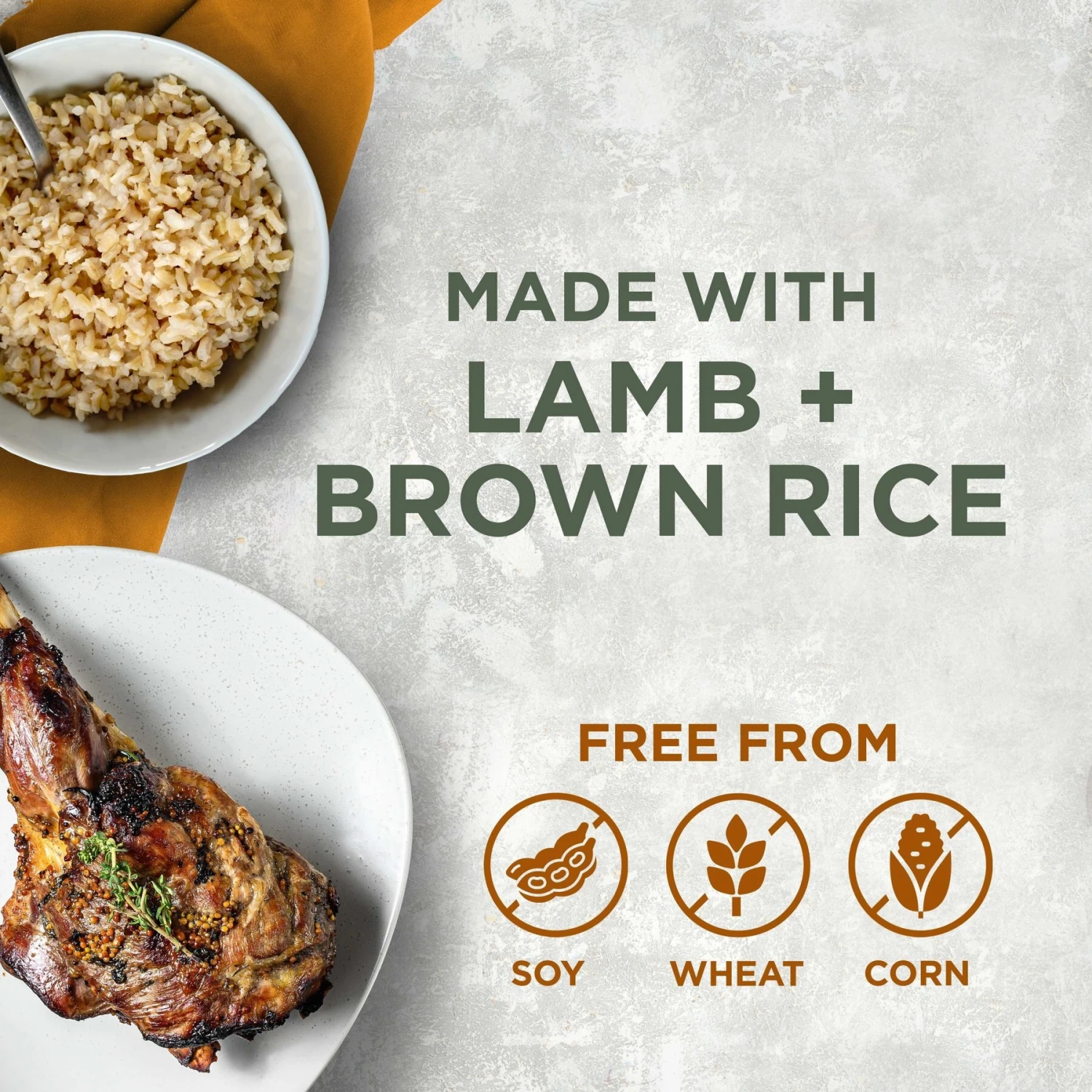 Blackwood Lamb Meal & Brown Rice Recipe Sensitive Skin & Stomach Formula Dry Dog Food 2 Blackwood Lamb Meal & Brown Rice Recipe Sensitive Skin & Stomach Formula Dry Dog Food - Image 2