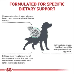 Royal Canin Veterinary Diet Adult Glycobalance Dry Dog Food -Pawsphoria Sales Store 51008 PT2. AC SS1800 V1694201478