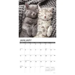 Just Kittens 2023 Wall Calendar -Pawsphoria Sales Store 512374 PT2. AC SS1800 V1657658058