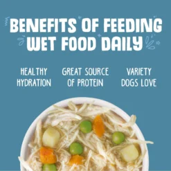 Weruva Grandma's Chicken Soup With Chicken & Veggies Grain-Free Canned Dog Food -Pawsphoria Sales Store 51245 PT4. AC SS1800 V1696009514