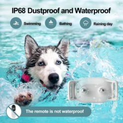 Petdiary T200 Waterproof Remote Dog Training Collar, White -Pawsphoria Sales Store 514318 PT5. AC SS1800 V1658212738