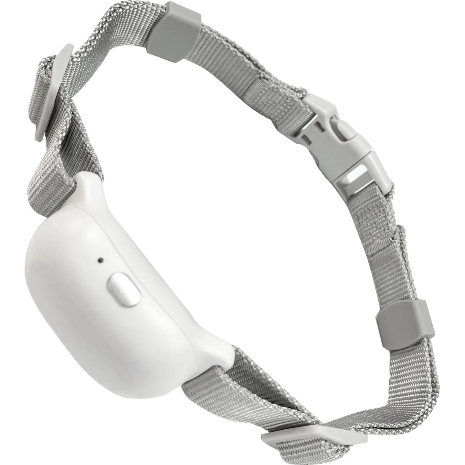 Petdiary T200 Dog Extra Collar Receiver, White 2 Petdiary T200 Dog Extra Collar Receiver, White - Image 2