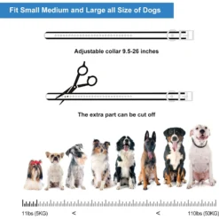 Petdiary T500 Deterrent Spray Rechargable Remote Dog Training Collar, Black -Pawsphoria Sales Store 514366 PT6. AC SS1800 V1658229222