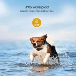 Petdiary T730 Dog Training Collar & Receiver, Black -Pawsphoria Sales Store 514438 PT3. AC SS1800 V1657658058