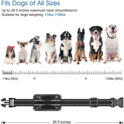 Petdiary T730 Dog Training Collar & Receiver, Black -Pawsphoria Sales Store 514438 PT5. AC SS1800 V1658264445