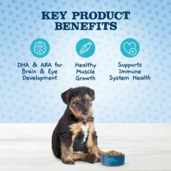 Blue Buffalo Baby Blue Healthy Growth Formula Natural Chicken & Brown Rice Recipe Puppy Dry Food & Blue Buffalo Baby Blue Healthy Growth Formula Natural Chicken & Vegetable Recipe Puppy Wet Food, 12.5-oz Cans, Case Of 12 -Pawsphoria Sales Store 514998 PT4. AC SS1800 V1649338588
