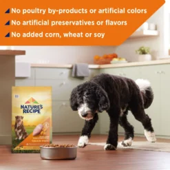 Nature's Recipe Grain-Free Chicken, Sweet Potato & Pumpkin Recipe Dry Dog Food -Pawsphoria Sales Store 51502 PT4. AC SS1800 V1672851291