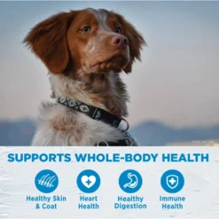 Wellness Simple Limited Ingredient Diet Lamb & Oatmeal Formula Dry Dog Food 12 Wellness Simple Limited Ingredient Diet Lamb & Oatmeal Formula Dry Dog Food -Pawsphoria Sales Store 51706 PT3. AC SS1800 V1611092335