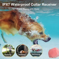 Bousnic Short Hair Remote Dog Training Collar, 2 Count 9 Bousnic Short Hair Remote Dog Training Collar, 2 Count -Pawsphoria Sales Store 518350 PT2. AC SS1800 V1697733667