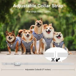Bousnic Short Hair Remote Dog Training Collar, 2 Count 11 Bousnic Short Hair Remote Dog Training Collar, 2 Count -Pawsphoria Sales Store 518350 PT4. AC SS1800 V1697754238