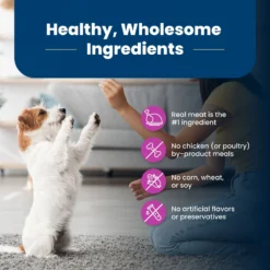 Blue Buffalo Life Protection Formula Small Breed Senior Chicken & Brown Rice Recipe Dry Dog Food -Pawsphoria Sales Store 51901 PT5. AC SS1800 V1701982102