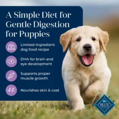 Blue Buffalo Basics Skin & Stomach Care Turkey & Potato Recipe Puppy Dry Dog Food -Pawsphoria Sales Store 51912 PT2. AC SS1800 V1646249488