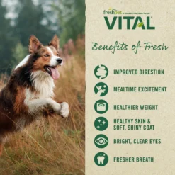 Freshpet Vital Chicken Recipe Fresh Dog Food, 1.75-lb Bag, Case Of 4 -Pawsphoria Sales Store 519158 PT5. AC SS1800 V1649349816