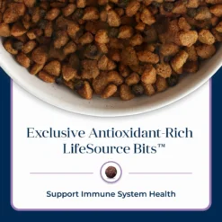 Blue Buffalo Basics Skin & Stomach Care Turkey & Potato Recipe Small Breed Adult Dry Dog Food 16 Blue Buffalo Basics Skin & Stomach Care Turkey & Potato Recipe Small Breed Adult Dry Dog Food -Pawsphoria Sales Store 51915 PT7. AC SS1800 V1646266287