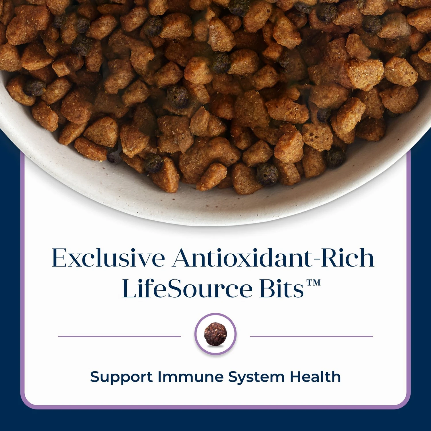 Blue Buffalo Basics Skin & Stomach Care Turkey & Potato Recipe Small Breed Adult Dry Dog Food 8 Blue Buffalo Basics Skin & Stomach Care Turkey & Potato Recipe Small Breed Adult Dry Dog Food - Image 8