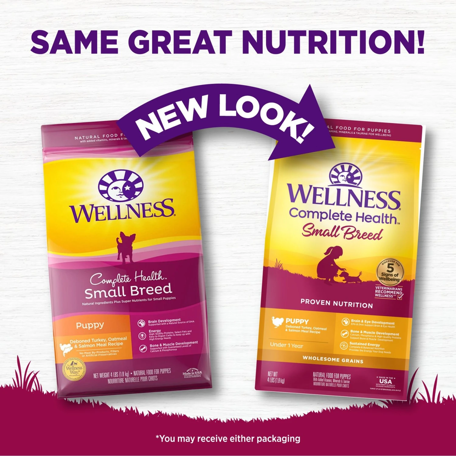 Wellness Small Breed Complete Health Puppy Turkey, Oatmeal & Salmon Meal Recipe Dry Dog Food 2 Wellness Small Breed Complete Health Puppy Turkey, Oatmeal & Salmon Meal Recipe Dry Dog Food - Image 2