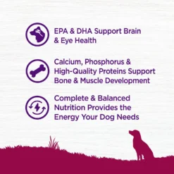 Wellness Small Breed Complete Health Puppy Turkey, Oatmeal & Salmon Meal Recipe Dry Dog Food 10 Wellness Small Breed Complete Health Puppy Turkey, Oatmeal & Salmon Meal Recipe Dry Dog Food -Pawsphoria Sales Store 52087 PT3. AC SS1800 V1594835170