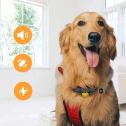 PATPET P320B NFC ID Pet Tag & 1000-ft Remote Dog Training Collar, Black, 2 Count -Pawsphoria Sales Store 522862 PT3. AC SS1800 V1668027334