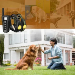 PATPET P320B NFC ID Pet Tag & 1000-ft Remote Dog Training Collar, Black, 2 Count -Pawsphoria Sales Store 522862 PT6. AC SS1800 V1668026184