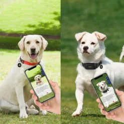 PATPET NFC ID Pet Tag & Lightweight Remote Dog Training Electric Collar, Black, 2 Count -Pawsphoria Sales Store 522894 PT3. AC SS1800 V1668026921